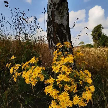 Prázdninový dům Tam Gdzie Sosny Ścinawka Dolna