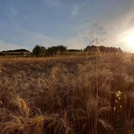 Tam Gdzie Sosny Ścinawka Dolna