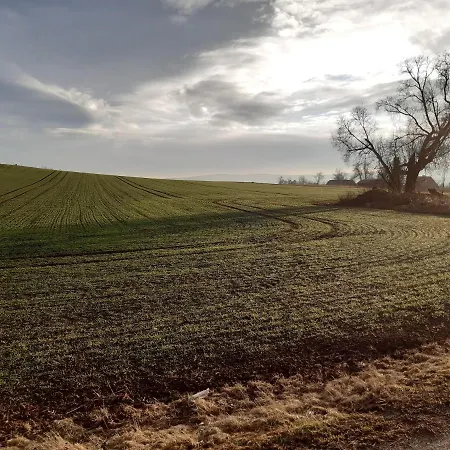 Feriehus Tam Gdzie Sosny Ścinawka Dolna