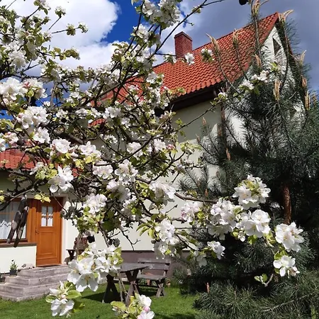 Tam Gdzie Sosny Prázdninový dům