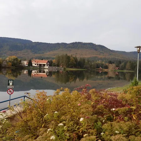 Tam Gdzie Sosny * Ścinawka Dolna