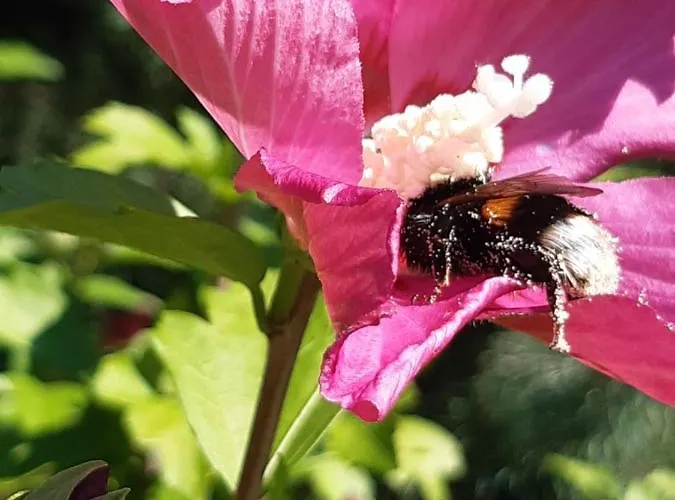 Casa vacanze Tam Gdzie Sosny *