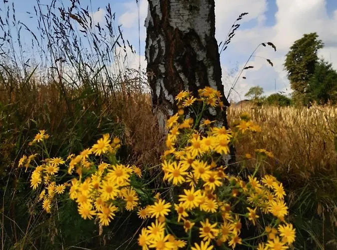 Prázdninový dům Tam Gdzie Sosny Ścinawka Dolna