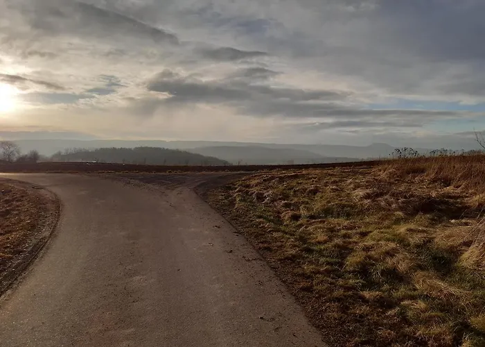 Tam Gdzie Sosny * Ścinawka Dolna