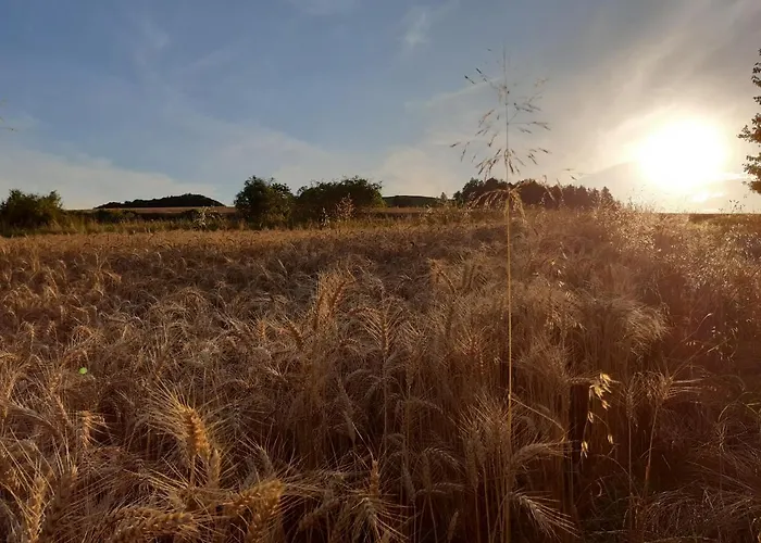 Tam Gdzie Sosny Ścinawka Dolna