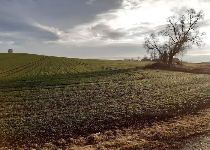 Casa vacanze Tam Gdzie Sosny Ścinawka Dolna