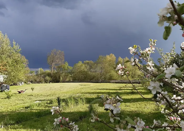 Prázdninový dům Tam Gdzie Sosny