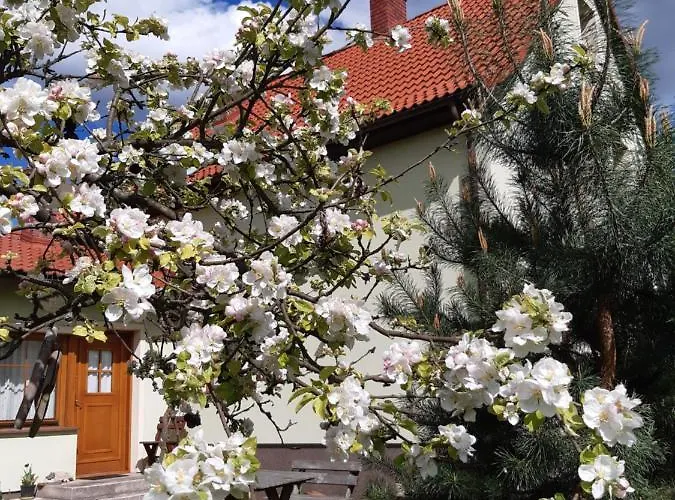 Tam Gdzie Sosny Casa vacanze