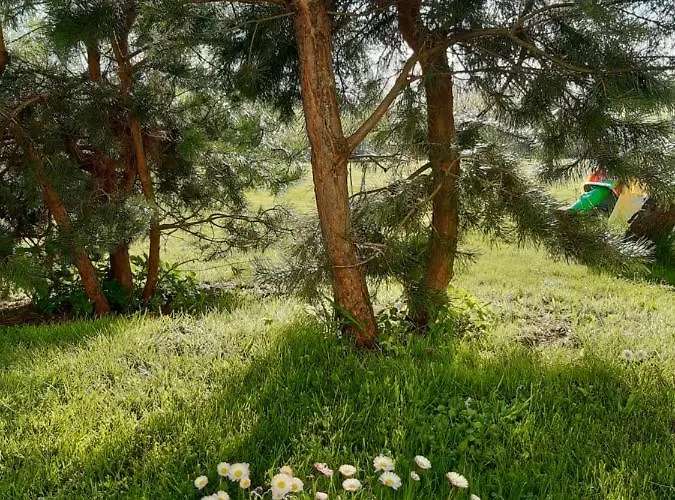 Prázdninový dům Tam Gdzie Sosny