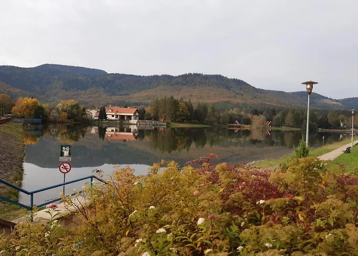 Tam Gdzie Sosny * Ścinawka Dolna